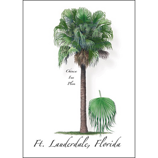 Fan Palm image 0