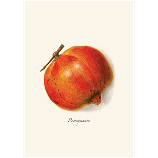 Pomegranate Assortment image 2