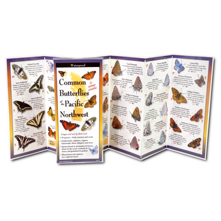 Common Butterflies of the Pacific Northwest image 1