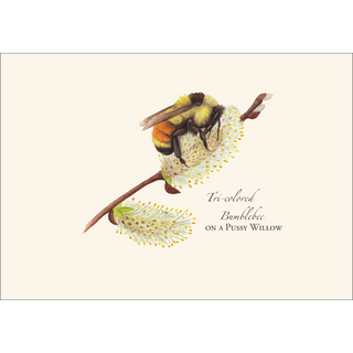 Spring Bee Assortment image 4