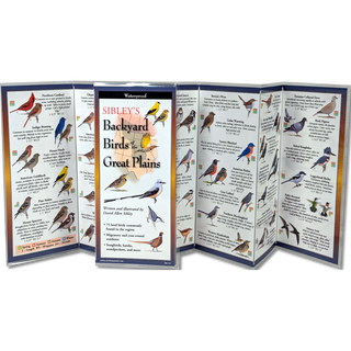 Sibley's Backyard Birds of the Great Plains image 1