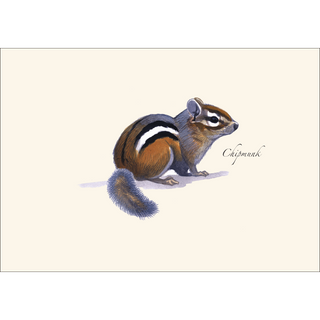 Chipmunk -NEW- image 1