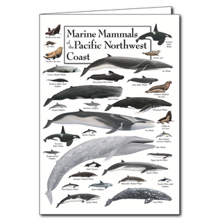 Marine Mammals of the Pacific Northwest Coast - Poster Card image 0