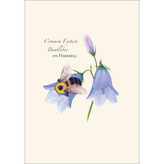 Spring Bee Assortment image 3