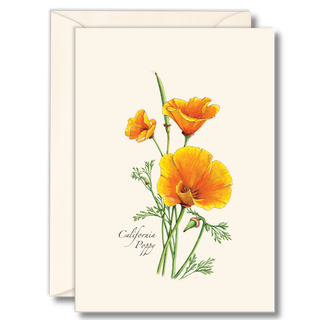 California Poppy image 0