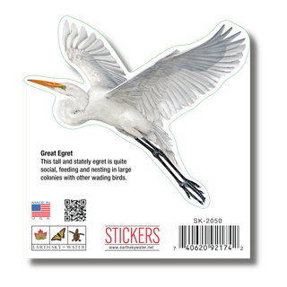 Great Egret image 1