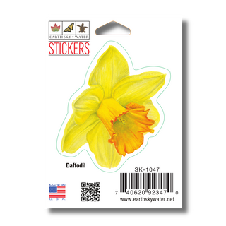 Daffodil image 1
