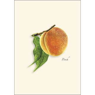 Peach image 1