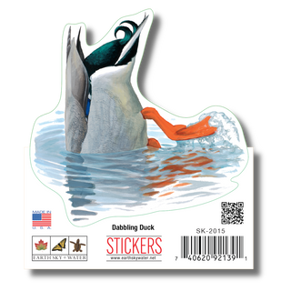 Dabbling Duck image 1