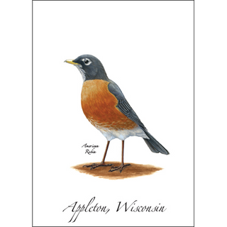 American Robin image 0