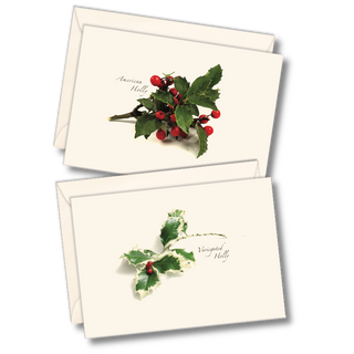 American Holly Assortment image 0