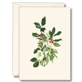 Hellebore &amp; Holly image 0