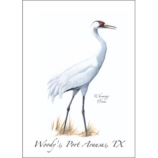 Whooping Crane image 0