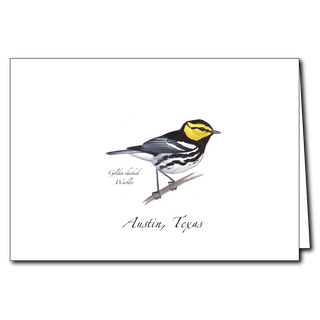 Golden-cheeked Warbler image 0