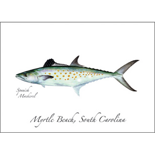Spanish Mackerel image 0