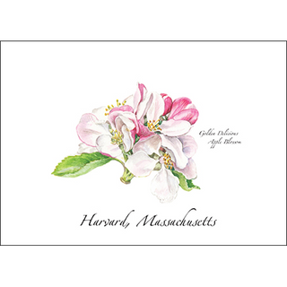 Golden Delicious Blossom image 0
