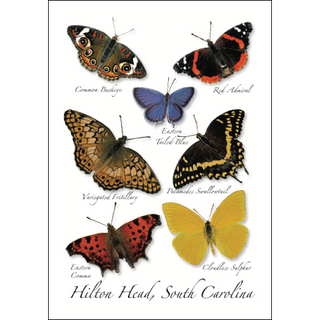 Southeast Butterfly I image 0