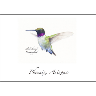 Black-chinned Hummingbird image 0