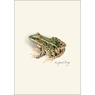 Frog & Toad Assortment image 1