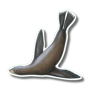 Sea Lion image 0