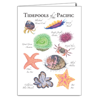 Tidepools of the Pacific - Regional Card image 0