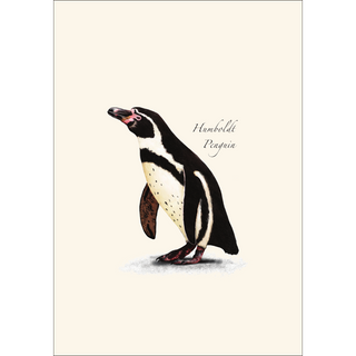 Penguin Assortment image 2