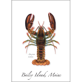 American Lobster II image 0