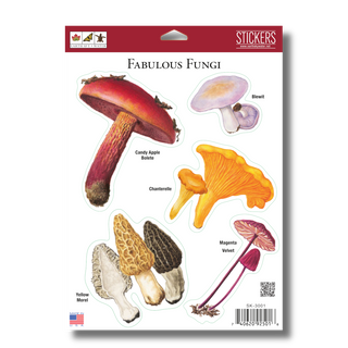 Fabulous Fungi -NEW- image 1