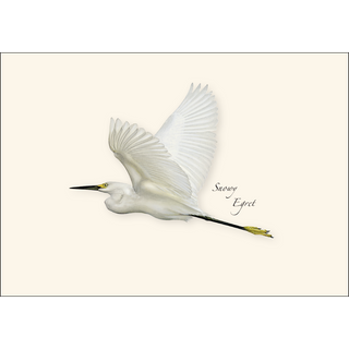 Egret Assortment image 2