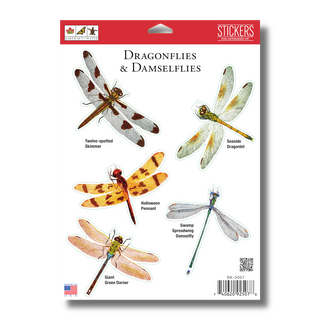 Dargonflies and Damselflies -NEW- image 1