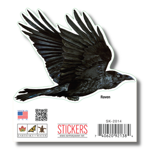 Raven image 1