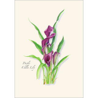 Calla Lilly Assortment image 1