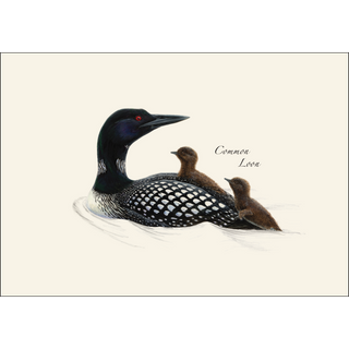 Loon Assortment image 1