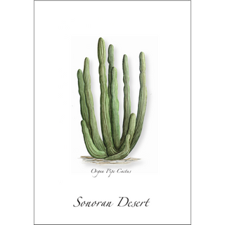Organ Pipe Cactus image 0