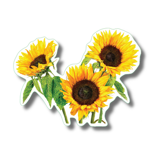 3 Sunflowers stickers with vibrant, long-lasting color for plant species reference
