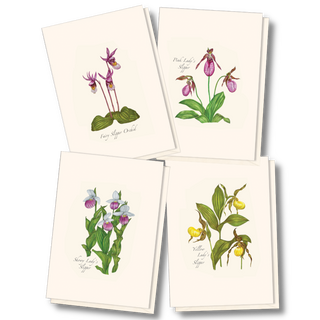 Native Orchid Assortment image 0