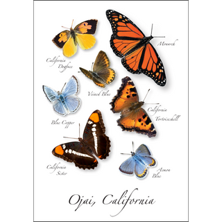California Butterflies image 0