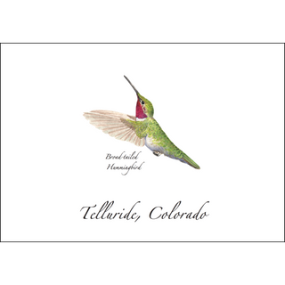 Broad-tailed Hummingbird image 0