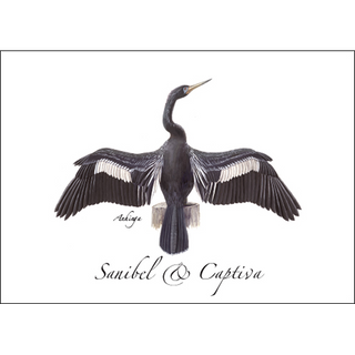 Anhinga sunning image 0