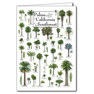Palms of California & the Southwest - Poster Card image 0
