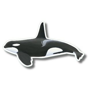 Orca image 0