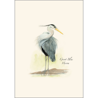 Great Blue Heron II image 1