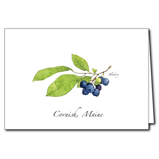 Blueberries image 0