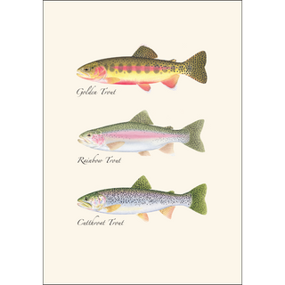Western Trout Trio image 1