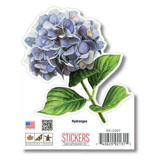 Hydrangea image 1
