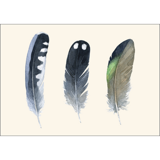 Waterbird Feathers image 1