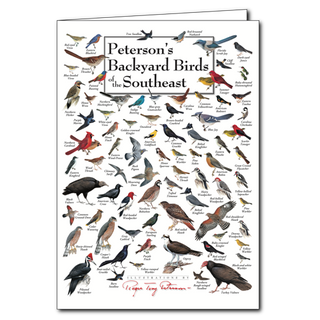 Peterson's Backyard Birds of the Southeast - Poster Card image 0
