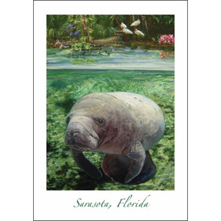 Manatee Under Water image 0