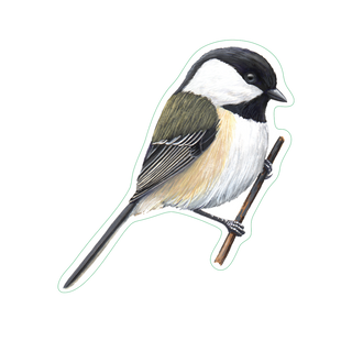 Chickadee image 1