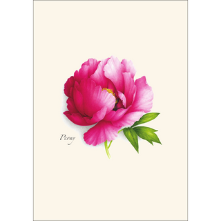 Peony Assortment image 1
